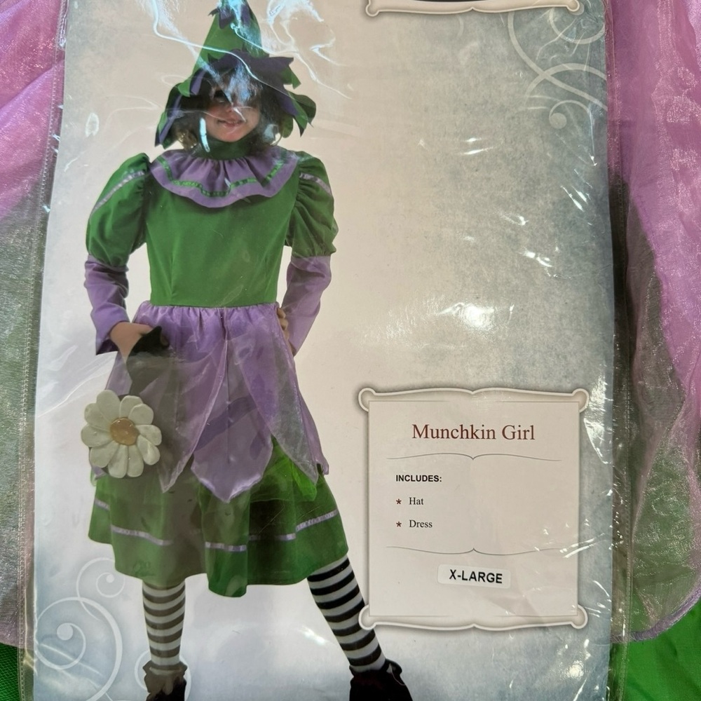 Munchkin Girl Dress-Up Costume in Green & Purple